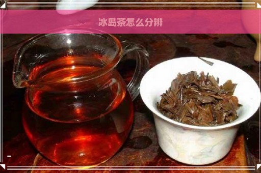 冰岛茶怎么分辨