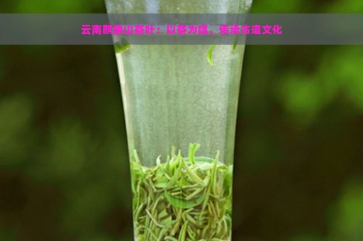 云南麒麟山茶叶：以茶为媒，传承古道文化