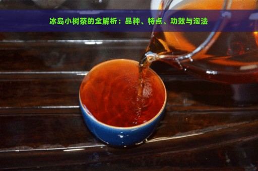 冰岛小树茶的全解析：品种、特点、功效与泡法