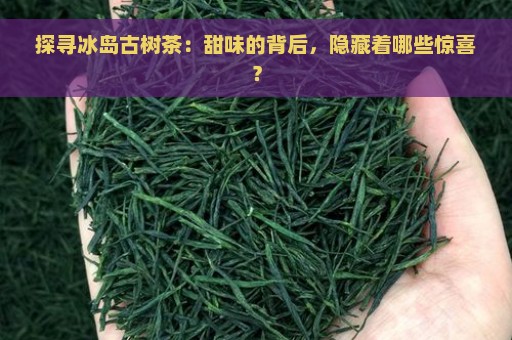 探寻冰岛古树茶：甜味的背后，隐藏着哪些惊喜？