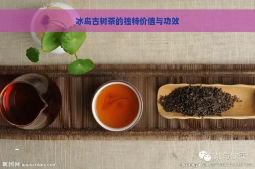 冰岛古树茶的独特价值与功效