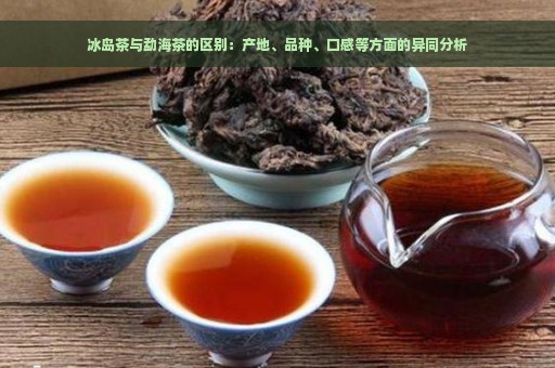 冰岛茶与勐海茶的区别：产地、品种、口感等方面的异同分析