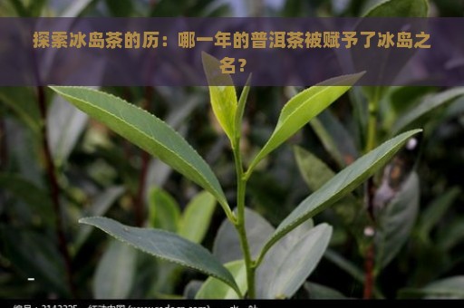 探索冰岛茶的历：哪一年的普洱茶被赋予了冰岛之名？