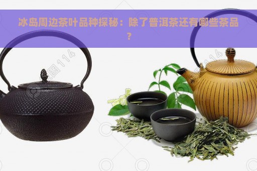 冰岛周边茶叶品种探秘：除了普洱茶还有哪些茶品？