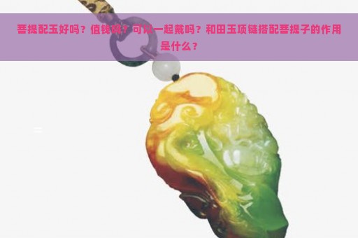 菩提配玉好吗？值钱吗？可以一起戴吗？和田玉项链搭配菩提子的作用是什么？