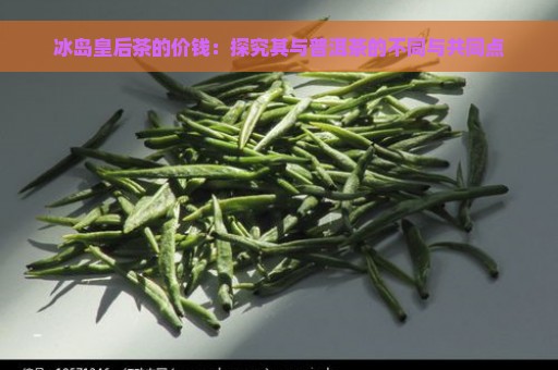 冰岛皇后茶的价钱：探究其与普洱茶的不同与共同点