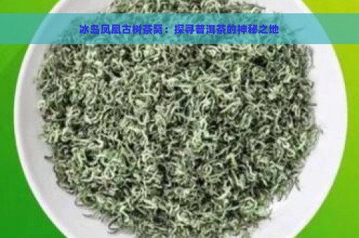 冰岛凤凰古树茶窝：探寻普洱茶的神秘之地