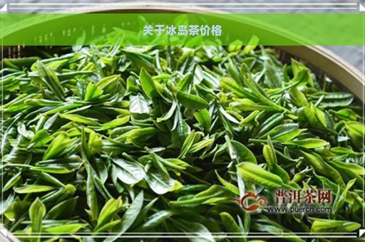 关于冰岛茶价格