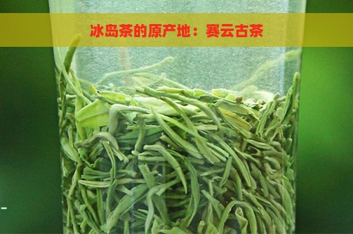 冰岛茶的原产地：赛云古茶