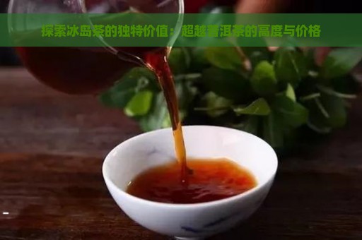 探索冰岛茶的独特价值：超越普洱茶的高度与价格