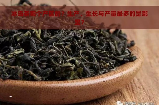 冰岛茶哪个产区的？生产、生长与产量最多的是哪里？