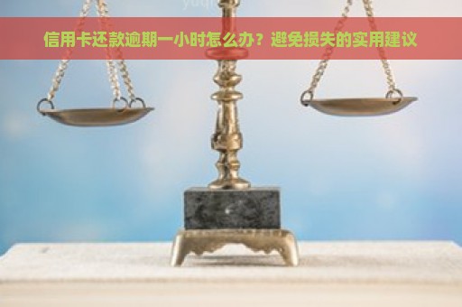 信用卡还款逾期一小时怎么办？避免损失的实用建议