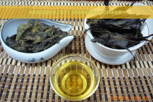 冰岛茶全面指南：哪个？如何选择最适合自己的冰岛茶？