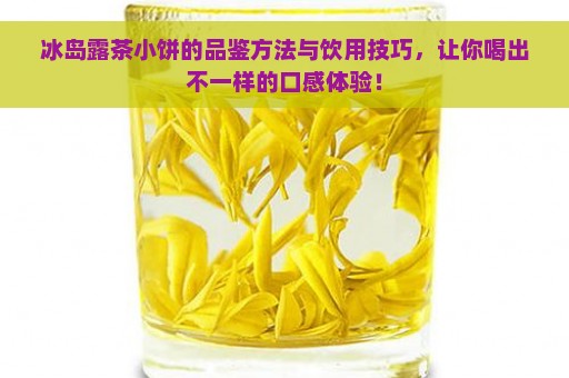 冰岛露茶小饼的品鉴方法与饮用技巧，让你喝出不一样的口感体验！