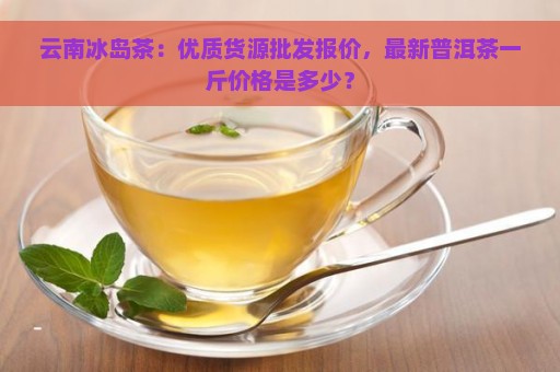 云南冰岛茶：优质货源批发报价，最新普洱茶一斤价格是多少？