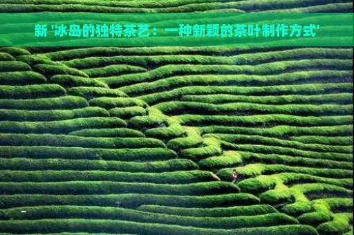 新 '冰岛的独特茶艺：一种新颖的茶叶制作方式'