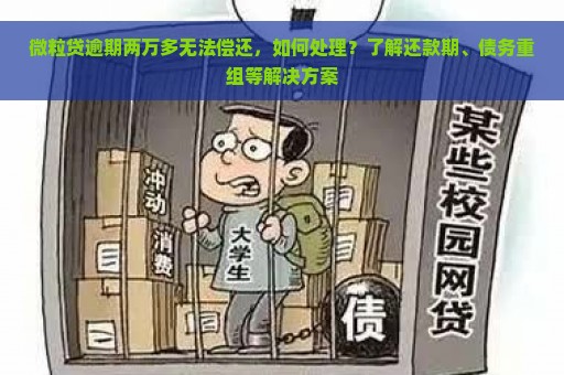 微粒贷逾期两万多无法偿还，如何处理？了解还款期、债务重组等解决方案