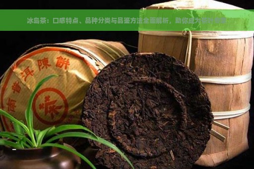 冰岛茶：口感特点、品种分类与品鉴方法全面解析，助你成为茶叶专家