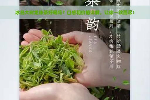 冰岛大树龙珠茶好喝吗？口感和价格详解，让你一饮而尽！