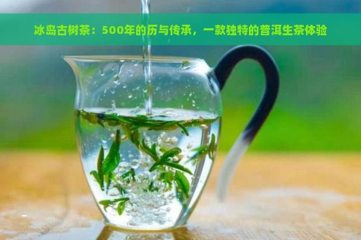 冰岛古树茶：500年的历与传承，一款独特的普洱生茶体验