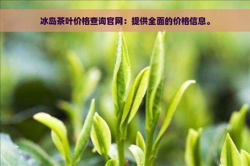 冰岛茶叶价格查询官网：提供全面的价格信息。