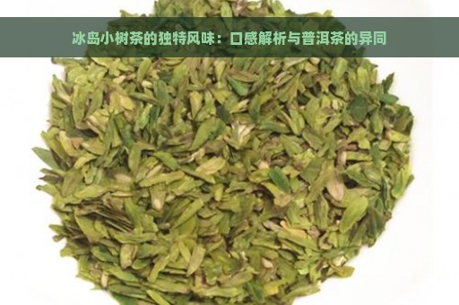 冰岛小树茶的独特风味：口感解析与普洱茶的异同