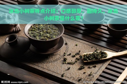 冰岛小树茶特点介绍：口感醇厚，回持久。冰岛小树茶是什么茶？