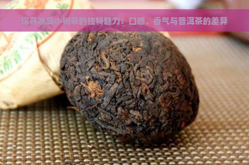 探寻冰岛小树茶的独特魅力：口感、香气与普洱茶的差异