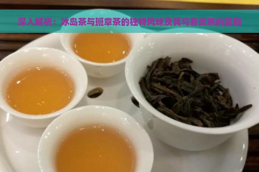 深入解析：冰岛茶与班章茶的独特风味及其与易武茶的区别