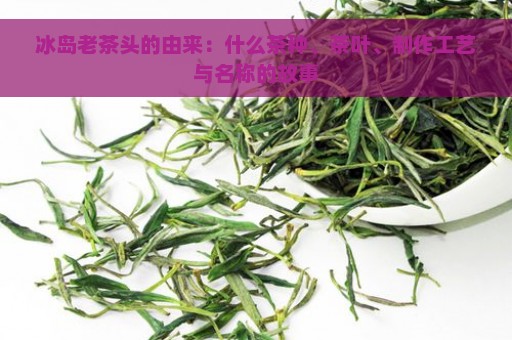 冰岛老茶头的由来：什么茶种、茶叶、制作工艺与名称的故事