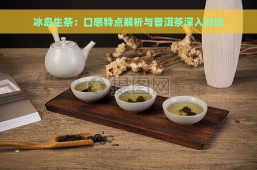 冰岛生茶：口感特点解析与普洱茶深入对比