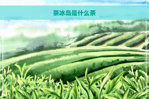 茶冰岛是什么茶