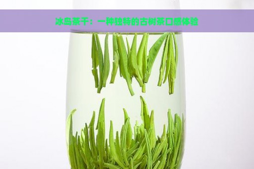 冰岛茶干：一种独特的古树茶口感体验