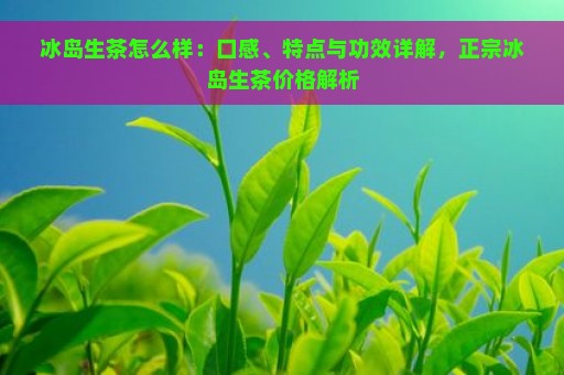 冰岛生茶怎么样：口感、特点与功效详解，正宗冰岛生茶价格解析