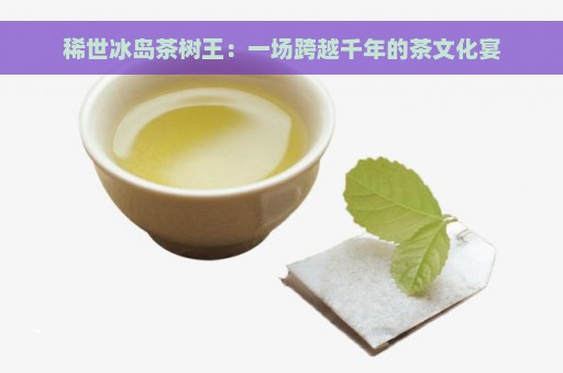 稀世冰岛茶树王：一场跨越千年的茶文化宴