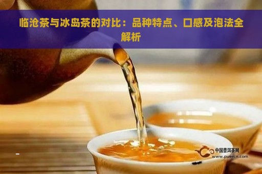 临沧茶与冰岛茶的对比：品种特点、口感及泡法全解析