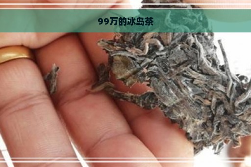 99万的冰岛茶