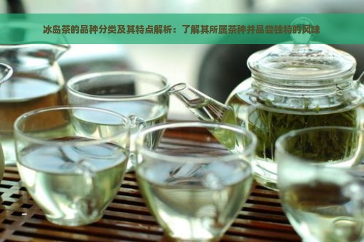 冰岛茶的品种分类及其特点解析：了解其所属茶种并品尝独特的风味