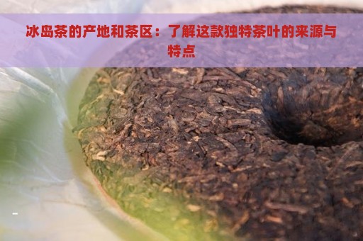 冰岛茶的产地和茶区：了解这款独特茶叶的来源与特点