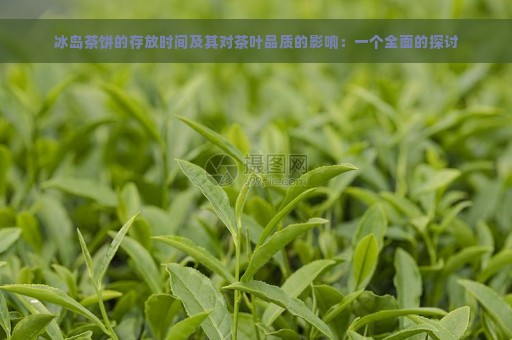 冰岛茶饼的存放时间及其对茶叶品质的影响：一个全面的探讨