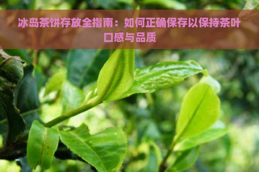 冰岛茶饼存放全指南：如何正确保存以保持茶叶口感与品质