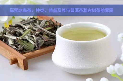 探索冰岛茶：种类、特点及其与普洱茶和古树茶的异同