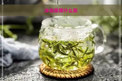 冰岛茶属什么茶