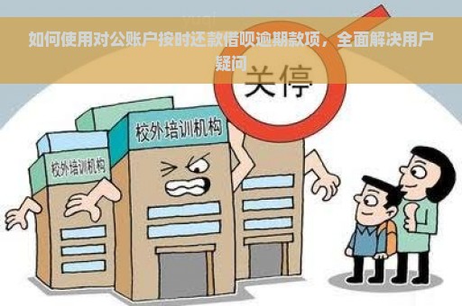 如何使用对公账户按时还款借呗逾期款项，全面解决用户疑问