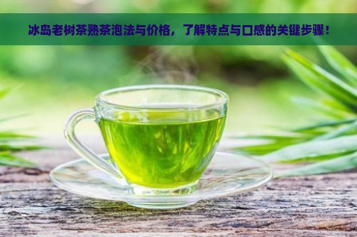 冰岛老树茶熟茶泡法与价格，了解特点与口感的关键步骤！