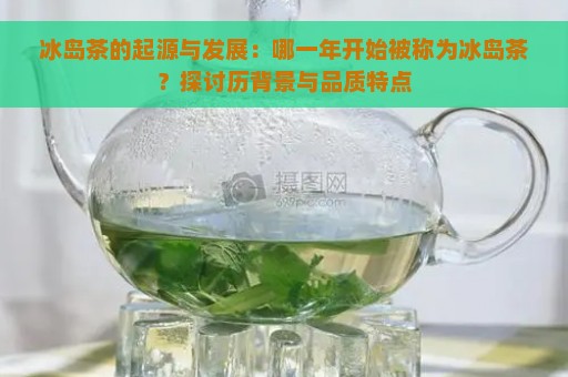 冰岛茶的起源与发展：哪一年开始被称为冰岛茶？探讨历背景与品质特点