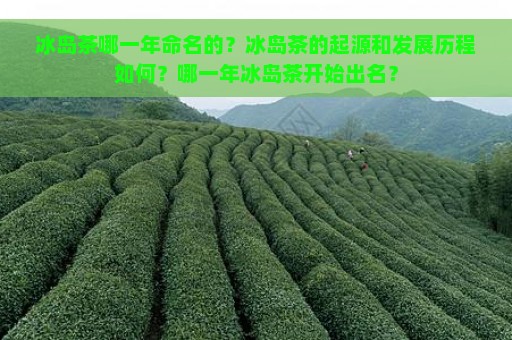 冰岛茶哪一年命名的？冰岛茶的起源和发展历程如何？哪一年冰岛茶开始出名？