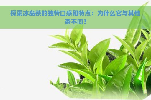 探索冰岛茶的独特口感和特点：为什么它与其他茶不同？