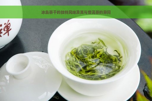 冰岛茶干的独特风味及其与普洱茶的异同