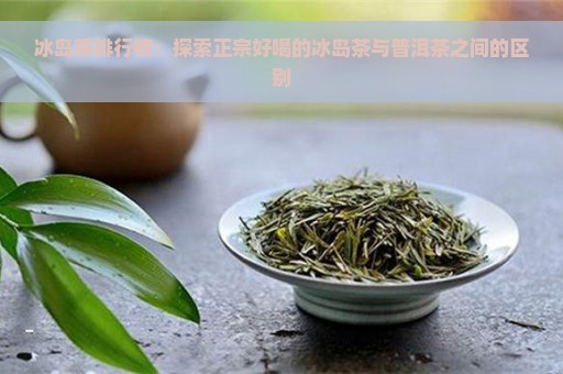 冰岛茶排行榜：探索正宗好喝的冰岛茶与普洱茶之间的区别